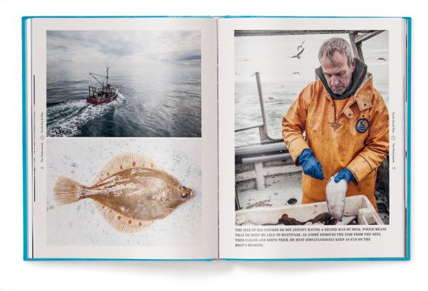 Four fish species to blue cover, 'CAPTAIN'S DINNER', in bronze font to centre of cover, by teNeues Books.