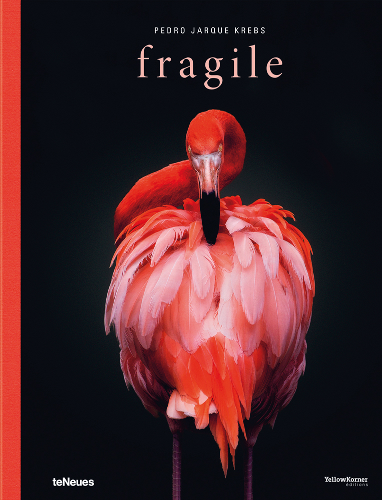 Orange and pink flamingo preening its feathers, black cover, fragile, in pale pink font above.