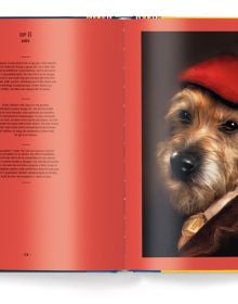 Book cover of Dog: Portraits of Eighty-Eight Dogs and One Little Naughty Rabbit, featuring a white whippet in white ruff collar. Published by teNeues Books.