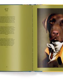 Book cover of Dog: Portraits of Eighty-Eight Dogs and One Little Naughty Rabbit, featuring a white whippet in white ruff collar. Published by teNeues Books.