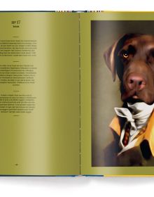 White whippet dog in white ruff collar with cream lace, 'Dog', in gold font above, by teNeues Books.