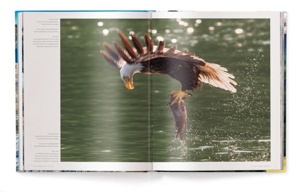Book cover of The World, featuring an aerial view of mountainous landscape with river. Published by teNeues Books.