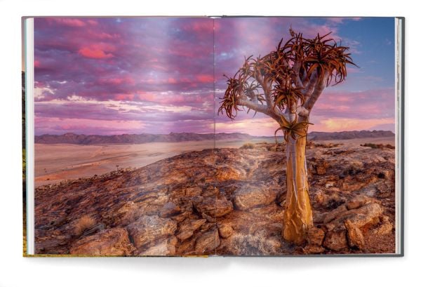 Book cover of Chasing Light, with the sun peaking through mountain landscape. Published by teNeues Books.