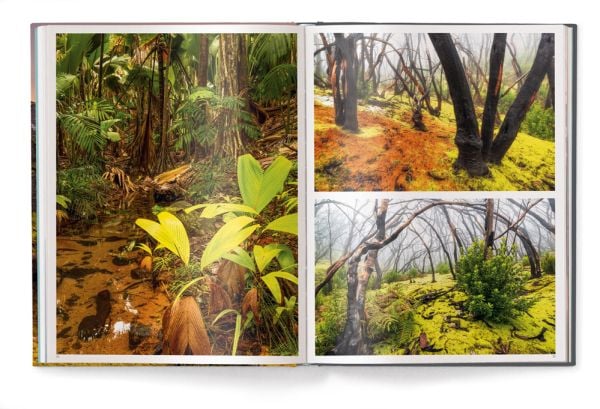 Book cover of Chasing Light, with the sun peaking through mountain landscape. Published by teNeues Books.
