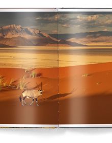 Book cover of Chasing Light, with the sun peaking through mountain landscape. Published by teNeues Books.