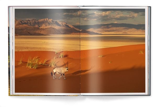 Book cover of Chasing Light, with the sun peaking through mountain landscape. Published by teNeues Books.