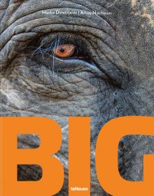 Close up of eye of elephant, with wrinkles, BIG in large orange font to bottom edge by teNeues.