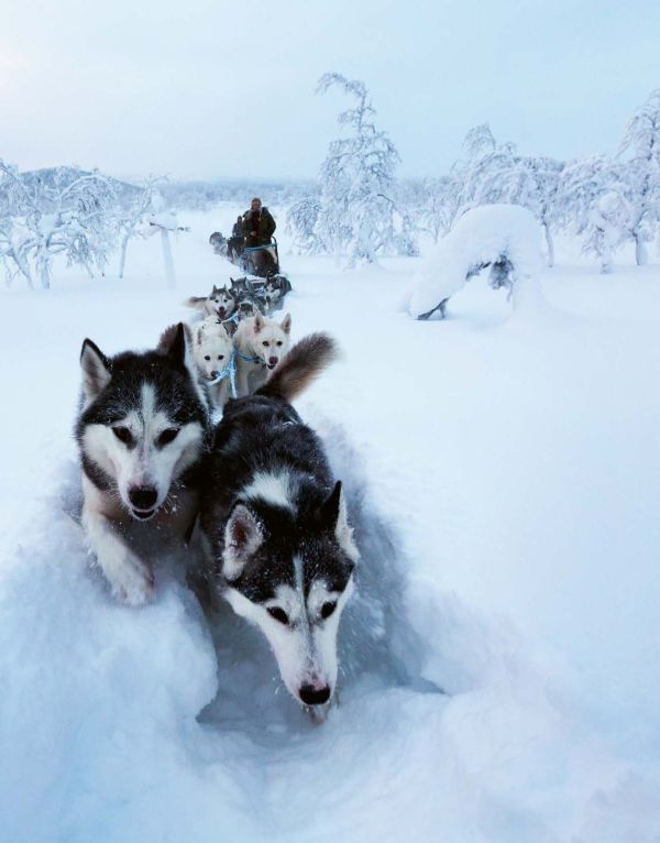 Book cover of No Signal: Living in the Heart of Nature. Ten Portraits, featuring a person standing on the metal barrier of a lighthouse building, looking out to sea. Published by teNeues Books.