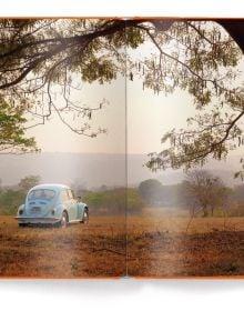 Book cover of IconiCars Volkswagen Beetle, featuring the front end of an orange Volkswagen Beetle. Published by teNeues Books.