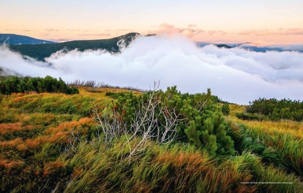 ukranian The Beauty of Ukraine - ACC Art Books UK