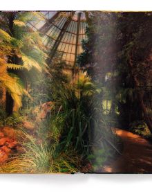Interior of Royal Garden, Brussels II, greenhouse, with exotic palms, on cover of 'Greenhouses' by teNeues Books.