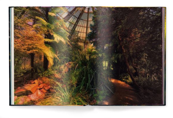 Book cover of Greenhouses, with the interior of Royal Garden, Brussels II, greenhouse, featuring exotic palms. Published by teNeues Books.