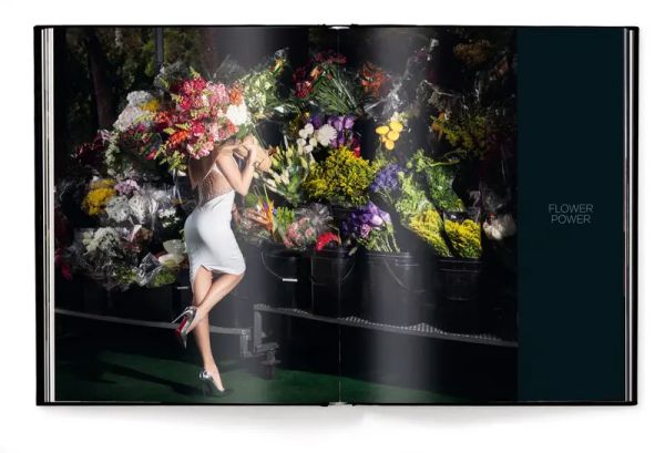 Book cover of Flirting with Danger, with a photograph titled 'Risky Landing', with a small aircraft heading toward runway with lady in white dress sitting on fence. Published by teNeues Books.