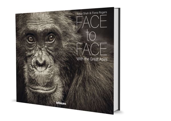 Book cover of Face to Face, With the Great Apes, with a close-up portrait of chimpanzee. Published by teNeues Books.