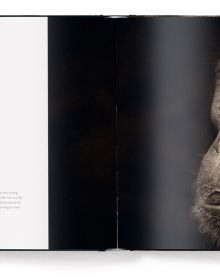 Book cover of Face to Face, With the Great Apes, with a close-up portrait of chimpanzee. Published by teNeues Books.