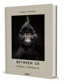 Book cover of Vincent Lagrange's photography book Between Us: Animal Portraits, features a little black crested mangabey monkey. Published by teNeues Books.