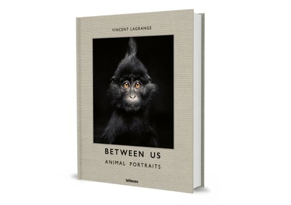 Book cover of Vincent Lagrange's photography book Between Us: Animal Portraits, features a little black crested mangabey monkey. Published by teNeues Books.