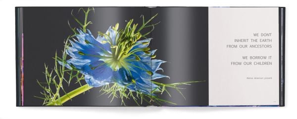 Close-up of purple petals of flower showing veins, on cover of 'Floral', by teNeues.