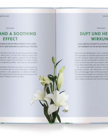 Book cover of Lilies, with purple and pink lily. Published by teNeues Books.