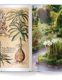 Book cover of Lilies, with purple and pink lily. Published by teNeues Books.