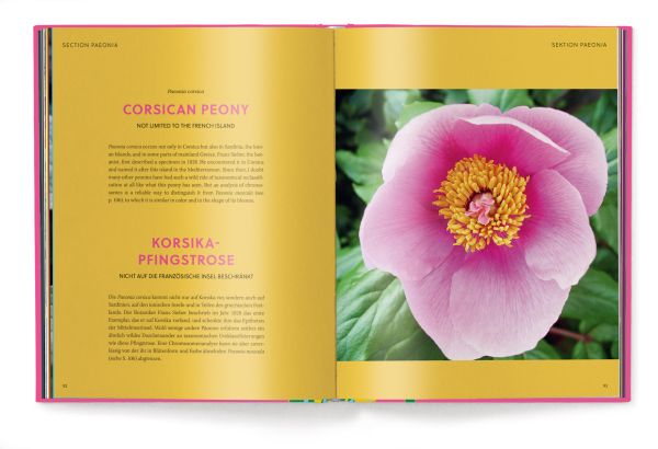 Pink book cover of Anja Klaffenbach's Peonies, with four pink flowers. Published by teNeues Books.