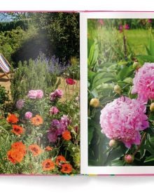 Pink book cover of Anja Klaffenbach's Peonies, with four pink flowers. Published by teNeues Books.