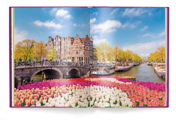 Purple book cover of Tulips, with four pink flowers. Published by teNeues Books.