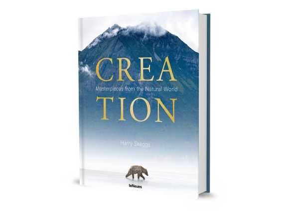 Book cover of Harry Skeggs' Creation: Masterpieces from the Natural World, with a brown bear walking past a mountain. Published by teNeues Books.