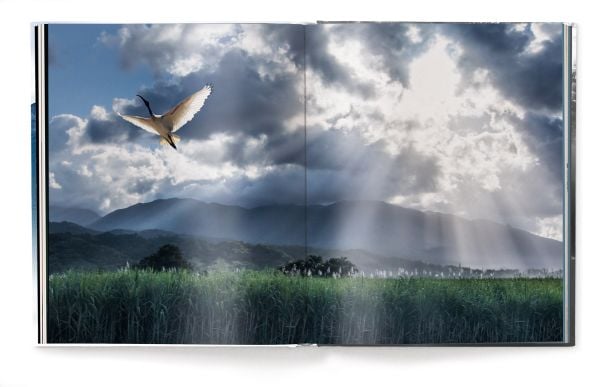 Book cover of Harry Skeggs' Creation: Masterpieces from the Natural World, with a brown bear walking past a mountain. Published by teNeues Books.