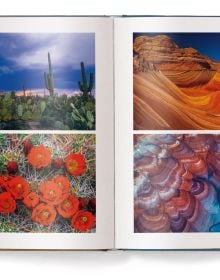 Deserts