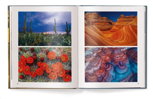 Book cover of Deserts: The World's Most Fascinating Places. Published by teNeues Books.