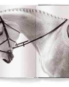 Book cover of Drew Doggett's Untamed Spirits: Horses from Around the World, with a white horse. Published by teNeues Books.