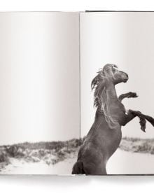 Untamed Spirits: Horses from Around the World