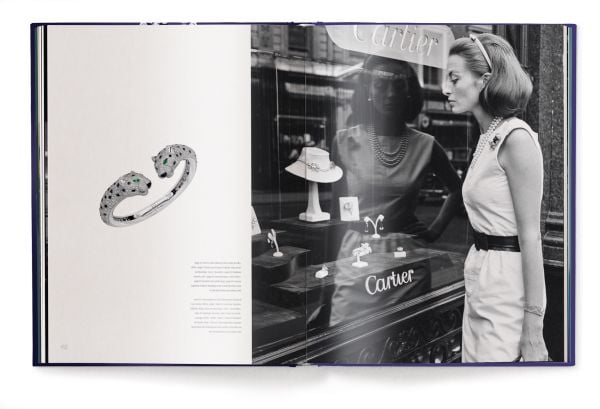 Book cover of For the Love of Diamonds: The Fine Jewelry Book, with Garden of Kalahari high jewellery diamond necklace. Published by teNeues Books.
