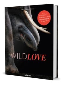 Book cover of WildLOVE, featuring a elephant her calf. Published by teNeues Books.