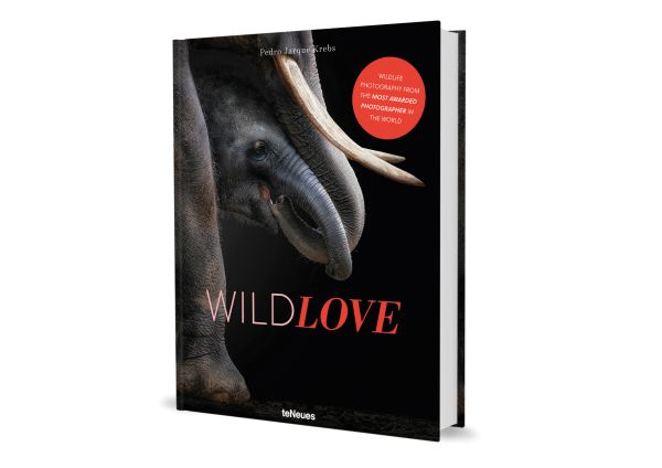Book cover of WildLOVE, featuring a elephant her calf. Published by teNeues Books.