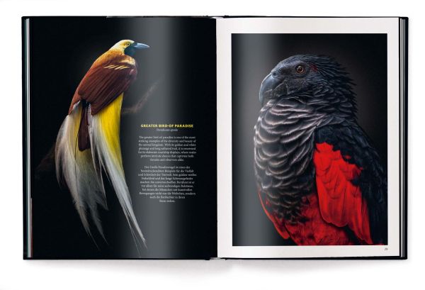 Book cover of WildLOVE, featuring a elephant her calf. Published by teNeues Books.