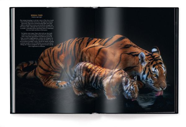 Book cover of WildLOVE, featuring a elephant her calf. Published by teNeues Books.