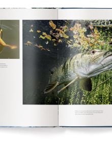 Book cover of Fishing: The Ultimate Book, with a fisherman sitting on a rock in the middle of a fast flowing river. Published by teNeues Books.