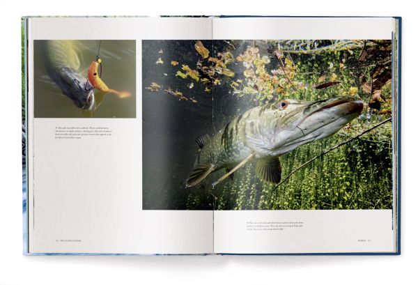 Book cover of Fishing: The Ultimate Book, with a fisherman sitting on a rock in the middle of a fast flowing river. Published by teNeues Books.