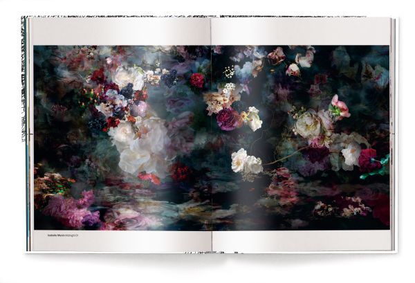 Book cover of Liberation of Arts: 20 Years of Lumas. Published by teNeues Books.