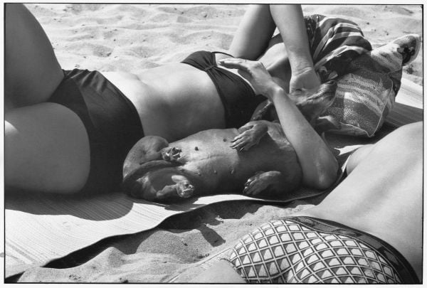 Book cover of Personal Best, featuring Elliott Erwitt's photograph titled 'New York City, 1955. Published by teNeues Books.