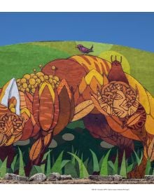 Book cover of Masters of Street Art: Art Without A Frame; featuring a large artwork of rabbit on corner of building. Published by teNeues Books.