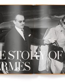 Book cover of The Ultimate Guide to Hermès Bags; featuring the Birkin handbag. Published by teNeues Books.