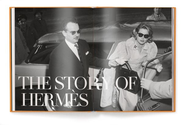 Book cover of The Ultimate Guide to Hermès Bags; featuring the Birkin handbag. Published by teNeues Books.