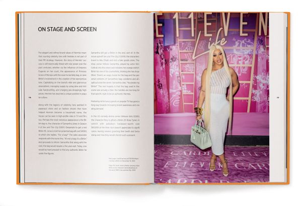 Book cover of The Ultimate Guide to Hermès Bags; featuring the Birkin handbag. Published by teNeues Books.