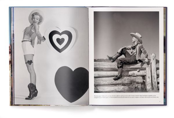 Book cover of The Stylish Life: Cowboys; featuring a cowgirl in pink shirt and hat, sitting on a fence. Published by teNeues Books.
