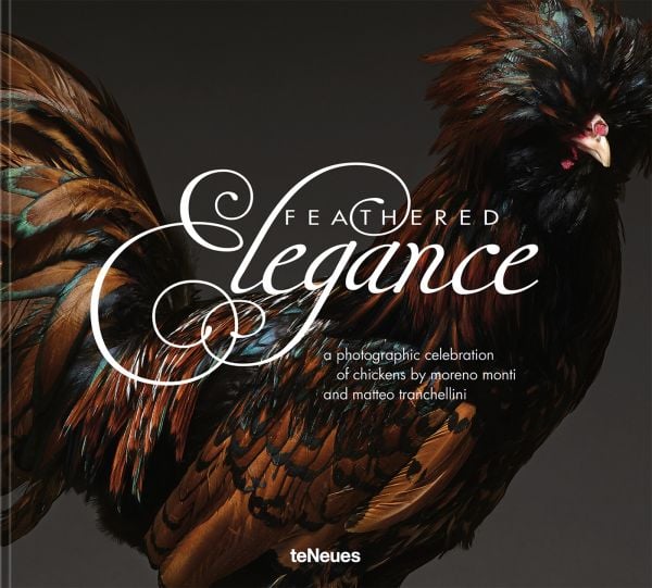 Book cover of Feathered Elegance: A Photographic Celebration of Chickens; featuring a beautifully coloured top hat chicken. Published by teNeues Books.
