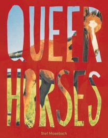 Book cover of Stef Mosebach's Queer Horses, with a foal behind a stencilled title. Published by Verlag Kettler.