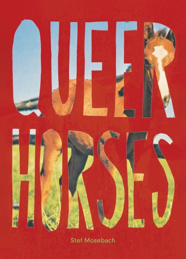 Book cover of Stef Mosebach's Queer Horses, with a foal behind a stenciled title. Published by Verlag Kettler.